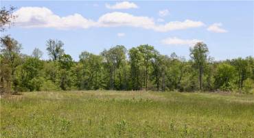 0 OLD APPLE GROVE RD, MINERAL, Virginia 23117, ,Land,For sale,0 OLD APPLE GROVE RD,VALA2008228 MLS # VALA2008228