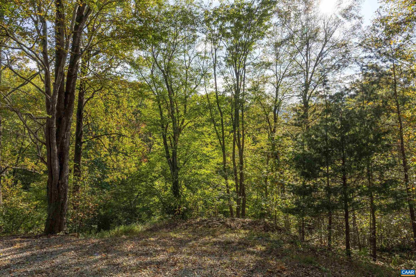 TBD CHERRY GROVE LN, AFTON, Virginia 22920, ,Land,For sale,TBD CHERRY GROVE LN,669450 MLS # 669450