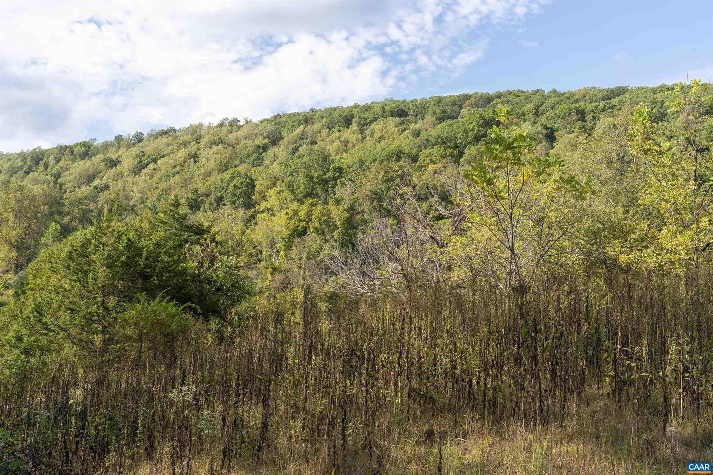 TBD CHERRY GROVE LN, AFTON, Virginia 22920, ,Land,For sale,TBD CHERRY GROVE LN,669450 MLS # 669450