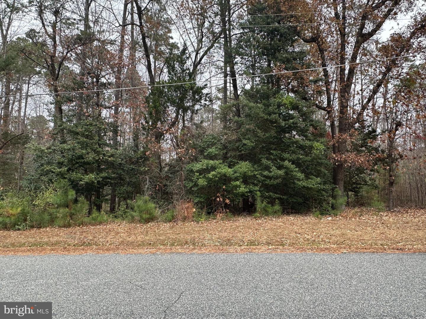 0 CORROTOMAN DR, LANCASTER, Virginia 22503, ,Land,For sale,0 CORROTOMAN DR,VALV2000920 MLS # VALV2000920 0 CORROTOMAN DR, LANCASTER, Virginia 22503, ,Land,For sale,0 CORROTOMAN DR,VALV2000920 MLS # VALV2000920