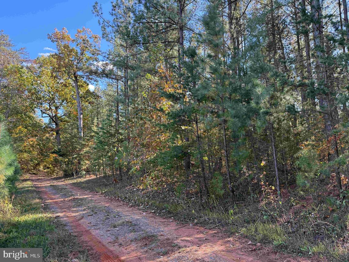 OFF OF SHORES ROAD (TRACT: TANAGER ET2 2020), SCOTTSVILLE, Virginia 24590, ,Farm,For sale,OFF OF SHORES ROAD (TRACT: TANAGER ET2 2020),VAFN2000552 MLS # VAFN2000552 OFF OF SHORES ROAD (TRACT: TANAGER ET2 2020), SCOTTSVILLE, Virginia 24590, ,Farm,For sale,OFF OF SHORES ROAD (TRACT: TANAGER ET2 2020),VAFN2000552 MLS # VAFN2000552
