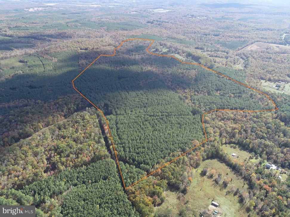 OFF OF SHORES ROAD (TRACT: TANAGER ET2 2020), SCOTTSVILLE, Virginia 24590, ,Farm,For sale,OFF OF SHORES ROAD (TRACT: TANAGER ET2 2020),VAFN2000552 MLS # VAFN2000552 OFF OF SHORES ROAD (TRACT: TANAGER ET2 2020), SCOTTSVILLE, Virginia 24590, ,Farm,For sale,OFF OF SHORES ROAD (TRACT: TANAGER ET2 2020),VAFN2000552 MLS # VAFN2000552