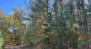 OFF OF SHORES ROAD (TRACT: TANAGER ET2 2020), SCOTTSVILLE, Virginia 24590, ,Farm,For sale,OFF OF SHORES ROAD (TRACT: TANAGER ET2 2020),VAFN2000552 MLS # VAFN2000552