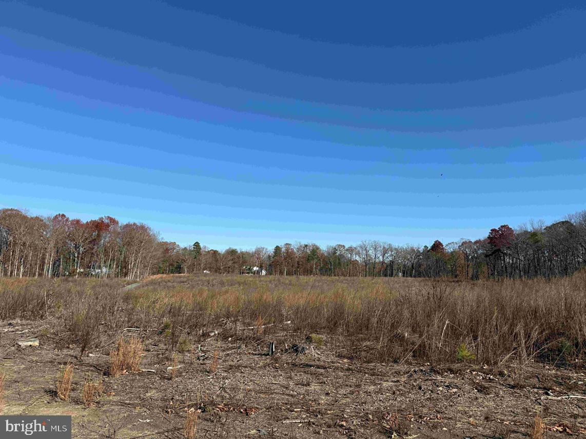 WINNSVILLE DRIVE (TRACT: TANAGER ET2 2021), BREMO BLUFF, Virginia 23022, ,Farm,For sale,WINNSVILLE DRIVE (TRACT: TANAGER ET2 2021),VAFN2000556 MLS # VAFN2000556 WINNSVILLE DRIVE (TRACT: TANAGER ET2 2021), BREMO BLUFF, Virginia 23022, ,Farm,For sale,WINNSVILLE DRIVE (TRACT: TANAGER ET2 2021),VAFN2000556 MLS # VAFN2000556