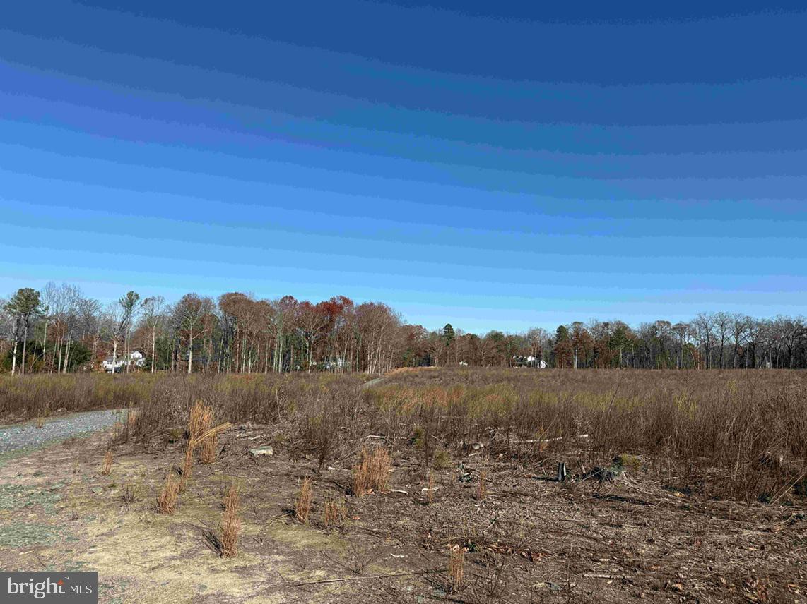 WINNSVILLE DRIVE (TRACT: TANAGER ET2 2021), BREMO BLUFF, Virginia 23022, ,Farm,For sale,WINNSVILLE DRIVE (TRACT: TANAGER ET2 2021),VAFN2000556 MLS # VAFN2000556 WINNSVILLE DRIVE (TRACT: TANAGER ET2 2021), BREMO BLUFF, Virginia 23022, ,Farm,For sale,WINNSVILLE DRIVE (TRACT: TANAGER ET2 2021),VAFN2000556 MLS # VAFN2000556