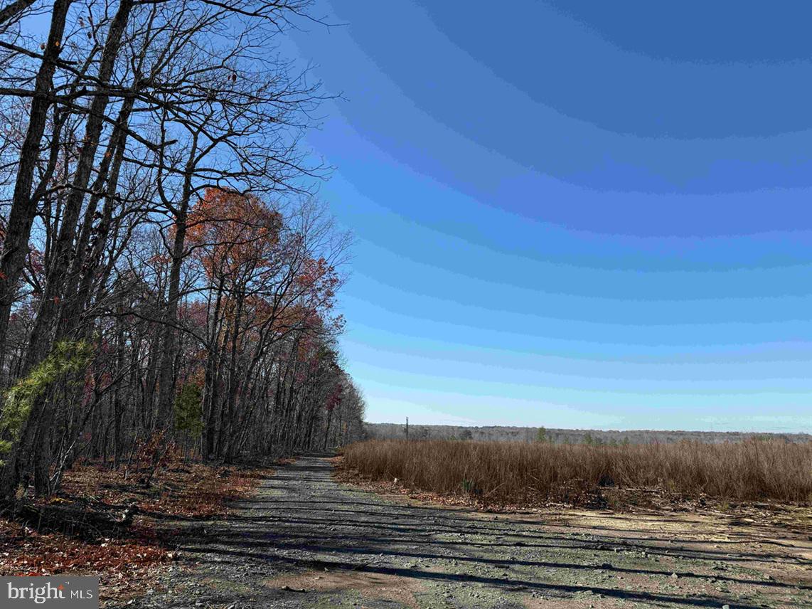 WINNSVILLE DRIVE (TRACT: TANAGER ET2 2021), BREMO BLUFF, Virginia 23022, ,Farm,For sale,WINNSVILLE DRIVE (TRACT: TANAGER ET2 2021),VAFN2000556 MLS # VAFN2000556 WINNSVILLE DRIVE (TRACT: TANAGER ET2 2021), BREMO BLUFF, Virginia 23022, ,Farm,For sale,WINNSVILLE DRIVE (TRACT: TANAGER ET2 2021),VAFN2000556 MLS # VAFN2000556