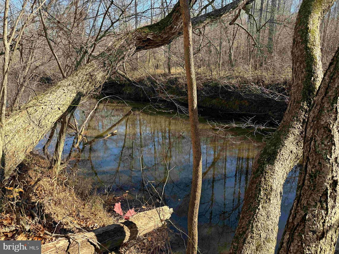 OFF OF DIANA MILL ROAD (TRACT: TANAGER ET2 2023, ARVONIA, Virginia 23004, ,Farm,For sale,OFF OF DIANA MILL ROAD (TRACT: TANAGER ET2 2023,VABH2000246 MLS # VABH2000246 OFF OF DIANA MILL ROAD (TRACT: TANAGER ET2 2023, ARVONIA, Virginia 23004, ,Farm,For sale,OFF OF DIANA MILL ROAD (TRACT: TANAGER ET2 2023,VABH2000246 MLS # VABH2000246