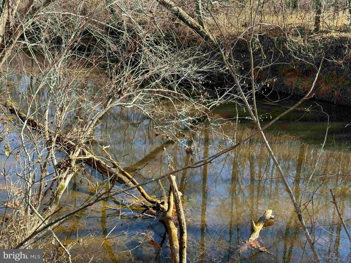 OFF OF DIANA MILL ROAD (TRACT: TANAGER ET2 2023, ARVONIA, Virginia 23004, ,Farm,For sale,OFF OF DIANA MILL ROAD (TRACT: TANAGER ET2 2023,VABH2000246 MLS # VABH2000246 OFF OF DIANA MILL ROAD (TRACT: TANAGER ET2 2023, ARVONIA, Virginia 23004, ,Farm,For sale,OFF OF DIANA MILL ROAD (TRACT: TANAGER ET2 2023,VABH2000246 MLS # VABH2000246