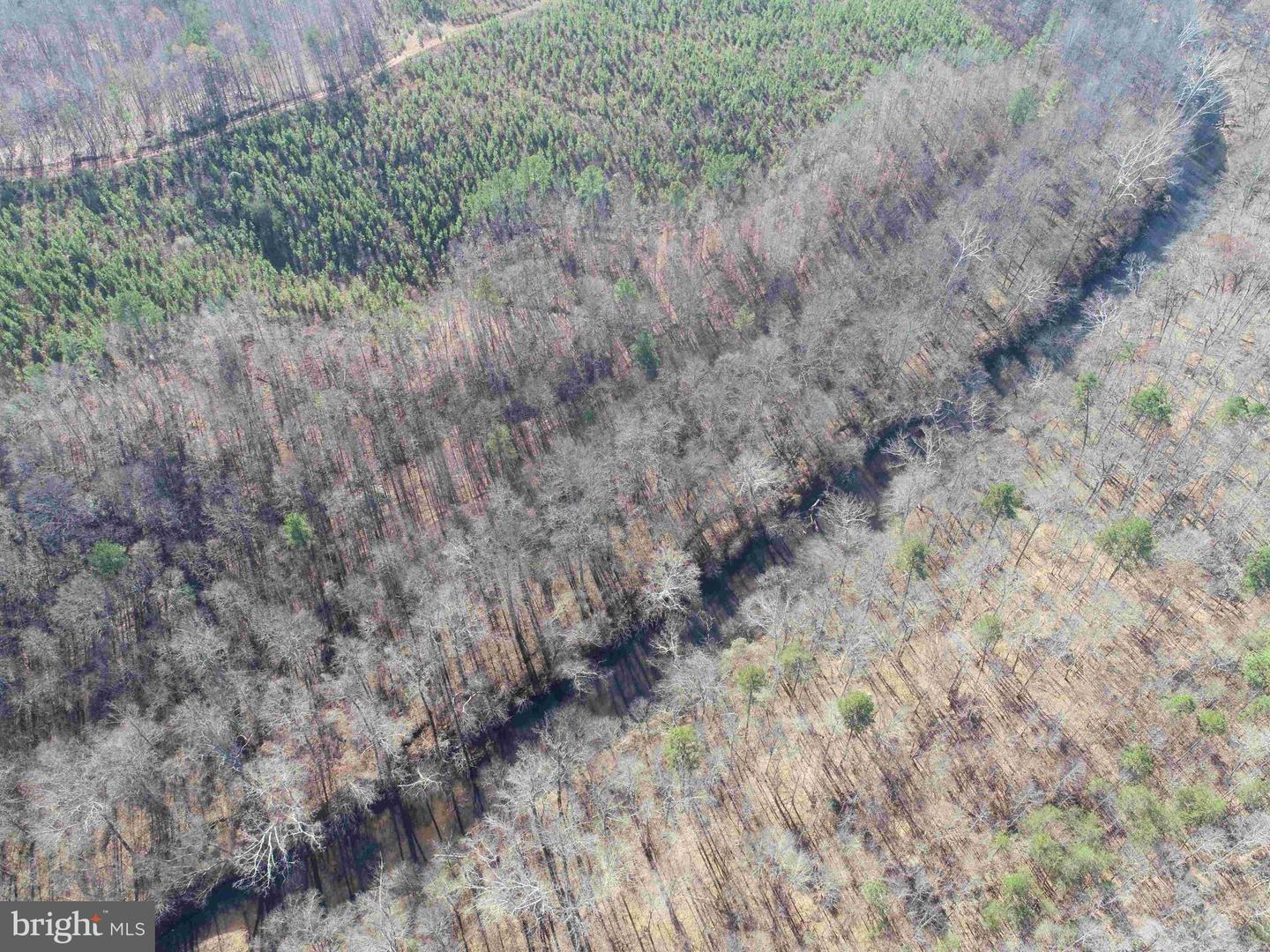 OFF OF DIANA MILL ROAD (TRACT: TANAGER ET2 2023, ARVONIA, Virginia 23004, ,Farm,For sale,OFF OF DIANA MILL ROAD (TRACT: TANAGER ET2 2023,VABH2000246 MLS # VABH2000246 OFF OF DIANA MILL ROAD (TRACT: TANAGER ET2 2023, ARVONIA, Virginia 23004, ,Farm,For sale,OFF OF DIANA MILL ROAD (TRACT: TANAGER ET2 2023,VABH2000246 MLS # VABH2000246