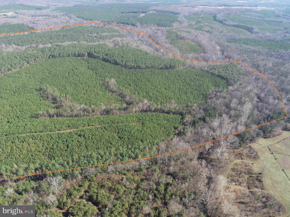 OFF OF DIANA MILL ROAD (TRACT: TANAGER ET2 2023, ARVONIA, Virginia 23004, ,Farm,For sale,OFF OF DIANA MILL ROAD (TRACT: TANAGER ET2 2023,VABH2000246 MLS # VABH2000246 OFF OF DIANA MILL ROAD (TRACT: TANAGER ET2 2023, ARVONIA, Virginia 23004, ,Farm,For sale,OFF OF DIANA MILL ROAD (TRACT: TANAGER ET2 2023,VABH2000246 MLS # VABH2000246