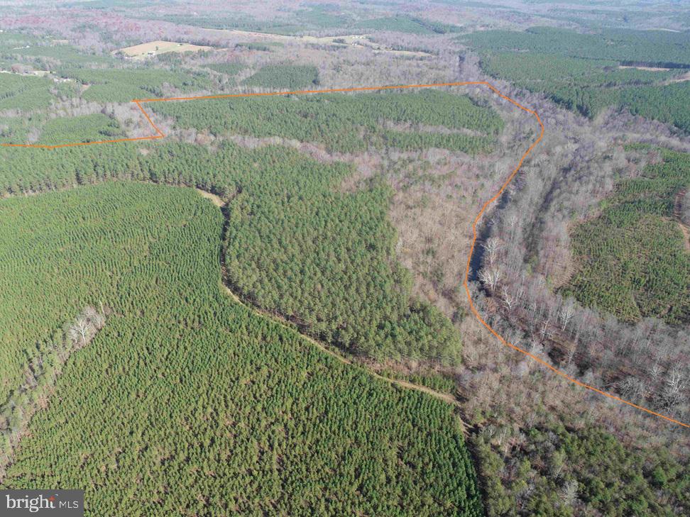 OFF OF DIANA MILL ROAD (TRACT: TANAGER ET2 2023, ARVONIA, Virginia 23004, ,Farm,For sale,OFF OF DIANA MILL ROAD (TRACT: TANAGER ET2 2023,VABH2000246 MLS # VABH2000246 OFF OF DIANA MILL ROAD (TRACT: TANAGER ET2 2023, ARVONIA, Virginia 23004, ,Farm,For sale,OFF OF DIANA MILL ROAD (TRACT: TANAGER ET2 2023,VABH2000246 MLS # VABH2000246