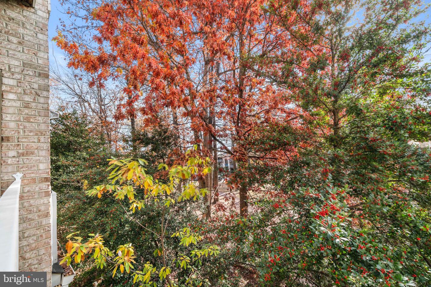 2665 MANHATTAN PL #109, VIENNA, Virginia 22180, 2 Bedrooms Bedrooms, ,2 BathroomsBathrooms,Residential,For sale,2665 MANHATTAN PL #109,VAFX2280070 MLS # VAFX2280070 2665 MANHATTAN PL #109, VIENNA, Virginia 22180, 2 Bedrooms Bedrooms, ,2 BathroomsBathrooms,Residential,For sale,2665 MANHATTAN PL #109,VAFX2280070 MLS # VAFX2280070