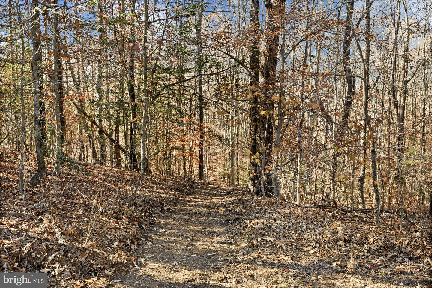 4075 RED GATE LN, KING GEORGE, Virginia 22485, 5 Bedrooms Bedrooms, ,3 BathroomsBathrooms,Residential,For sale,4075 RED GATE LN,VAKG2007314 MLS # VAKG2007314 4075 RED GATE LN, KING GEORGE, Virginia 22485, 5 Bedrooms Bedrooms, ,3 BathroomsBathrooms,Residential,For sale,4075 RED GATE LN,VAKG2007314 MLS # VAKG2007314