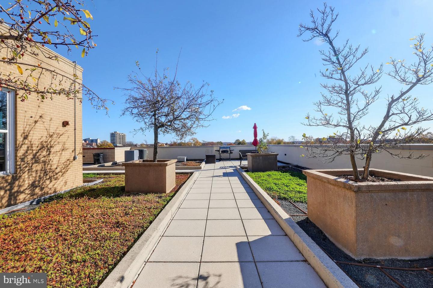 1111 ORONOCO ST #125, ALEXANDRIA, Virginia 22314, 1 Bedroom Bedrooms, ,1 BathroomBathrooms,Residential,For sale,1111 ORONOCO ST #125,VAAX2052094 MLS # VAAX2052094 1111 ORONOCO ST #125, ALEXANDRIA, Virginia 22314, 1 Bedroom Bedrooms, ,1 BathroomBathrooms,Residential,For sale,1111 ORONOCO ST #125,VAAX2052094 MLS # VAAX2052094