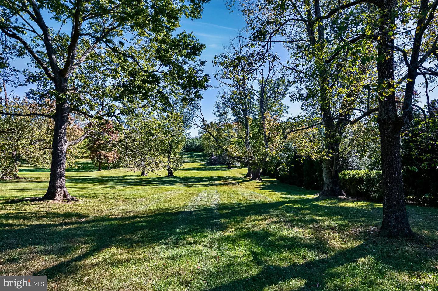 1610 DELAPLANE GRADE RD, UPPERVILLE, Virginia 20184, 4 Bedrooms Bedrooms, ,3 BathroomsBathrooms,Farm,For sale,1610 DELAPLANE GRADE RD,VAFQ2019810 MLS # VAFQ2019810