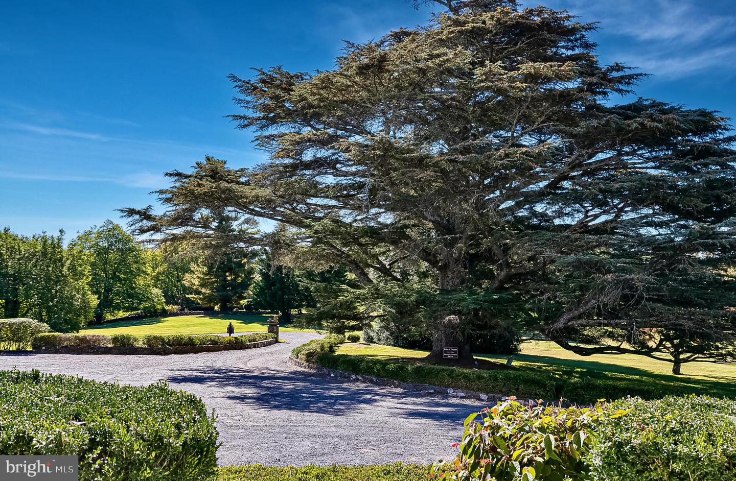 1610 DELAPLANE GRADE RD, UPPERVILLE, Virginia 20184, 4 Bedrooms Bedrooms, ,3 BathroomsBathrooms,Farm,For sale,1610 DELAPLANE GRADE RD,VAFQ2019810 MLS # VAFQ2019810