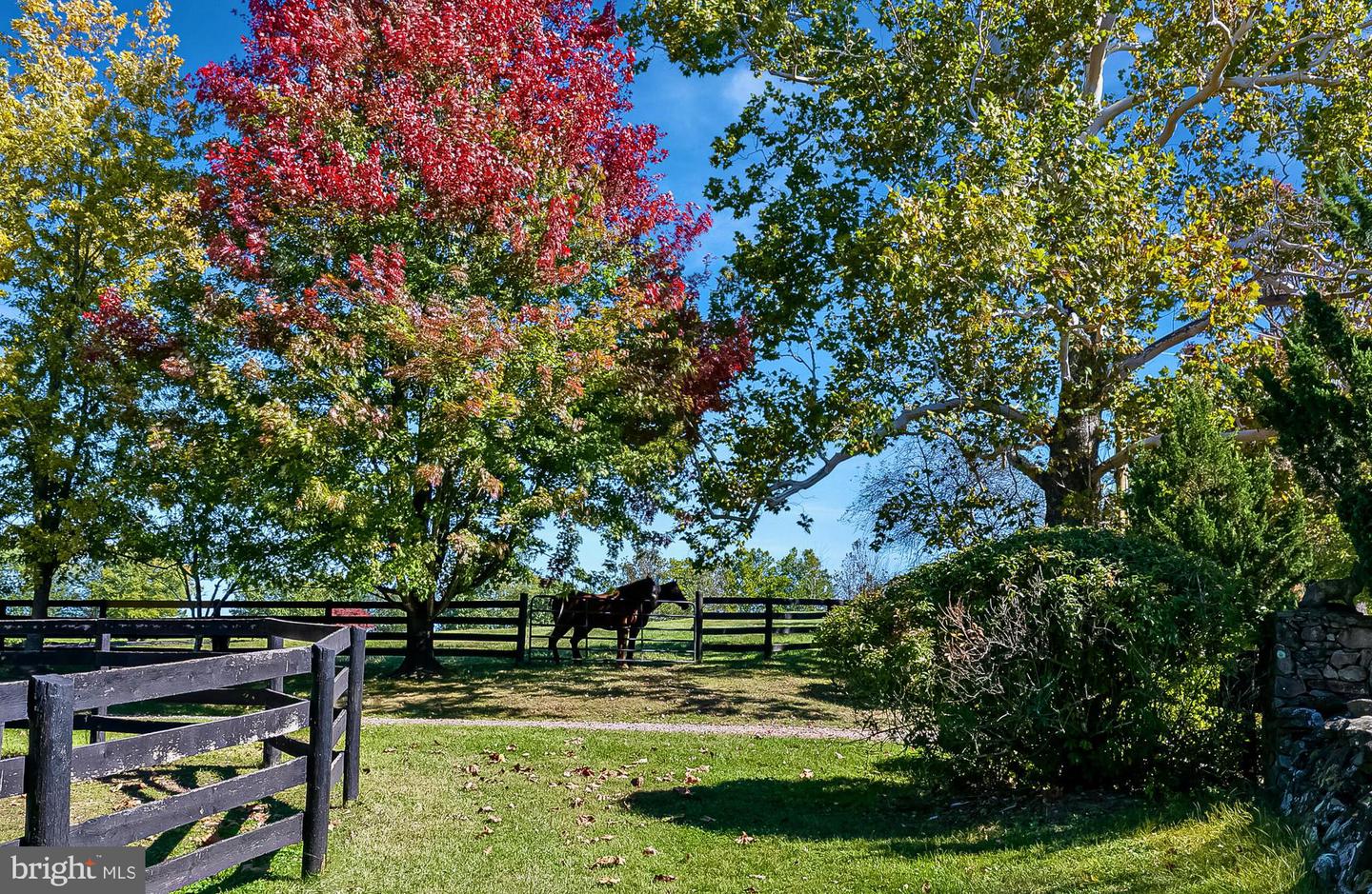 1610 DELAPLANE GRADE RD, UPPERVILLE, Virginia 20184, 4 Bedrooms Bedrooms, ,3 BathroomsBathrooms,Farm,For sale,1610 DELAPLANE GRADE RD,VAFQ2019810 MLS # VAFQ2019810