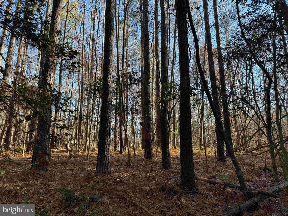 SLAGLES LAKE ROAD (TRACT: CHESAPEAKE GEORGE RAE), EMPORIA, Virginia 23847, ,Farm,For sale,SLAGLES LAKE ROAD (TRACT: CHESAPEAKE GEORGE RAE),VAGE2000022 MLS # VAGE2000022