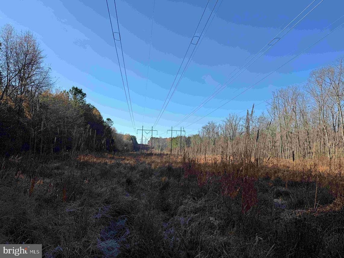 SLAGLES LAKE ROAD (TRACT: CHESAPEAKE GEORGE RAE), EMPORIA, Virginia 23847, ,Farm,For sale,SLAGLES LAKE ROAD (TRACT: CHESAPEAKE GEORGE RAE),VAGE2000022 MLS # VAGE2000022