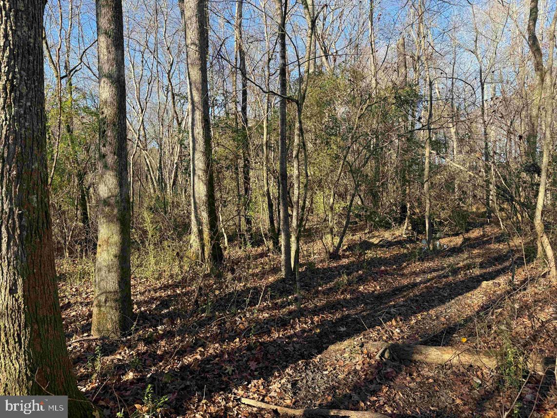 SLAGLES LAKE ROAD (TRACT: CHESAPEAKE GEORGE RAE), EMPORIA, Virginia 23847, ,Farm,For sale,SLAGLES LAKE ROAD (TRACT: CHESAPEAKE GEORGE RAE),VAGE2000022 MLS # VAGE2000022