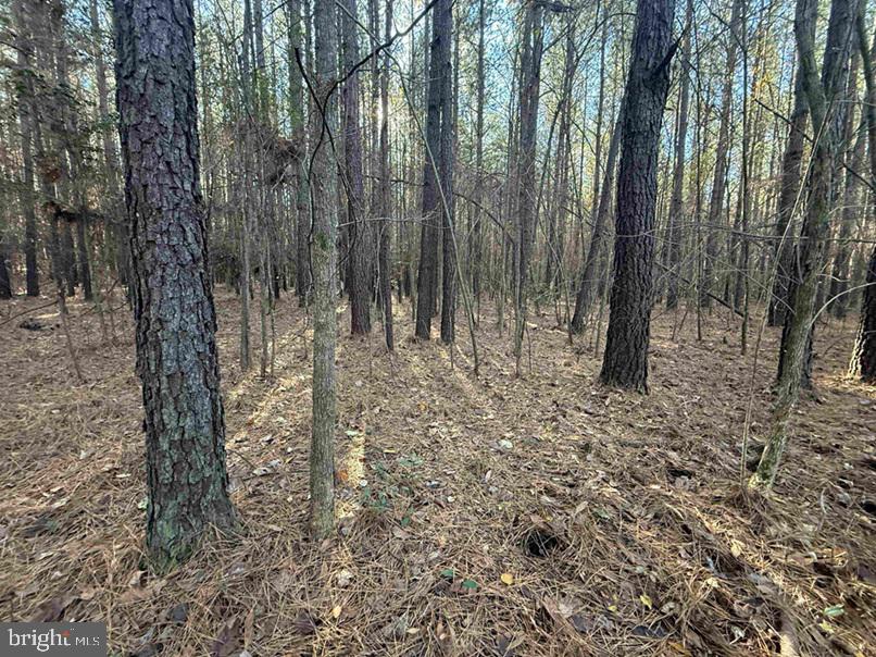 SLAGLES LAKE ROAD (TRACT: CHESAPEAKE GEORGE RAE), EMPORIA, Virginia 23847, ,Farm,For sale,SLAGLES LAKE ROAD (TRACT: CHESAPEAKE GEORGE RAE),VAGE2000022 MLS # VAGE2000022