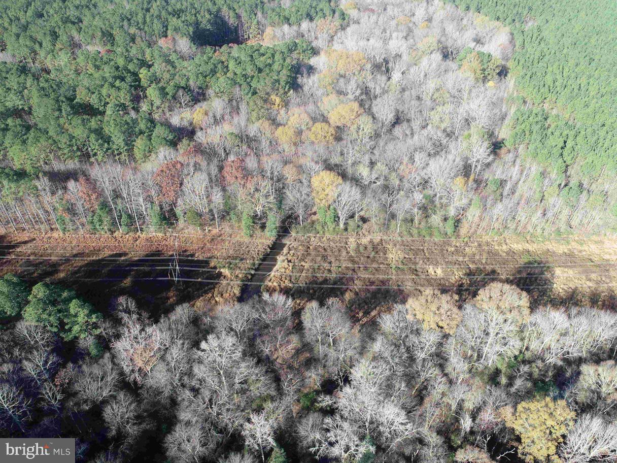 SLAGLES LAKE ROAD (TRACT: CHESAPEAKE GEORGE RAE), EMPORIA, Virginia 23847, ,Farm,For sale,SLAGLES LAKE ROAD (TRACT: CHESAPEAKE GEORGE RAE),VAGE2000022 MLS # VAGE2000022