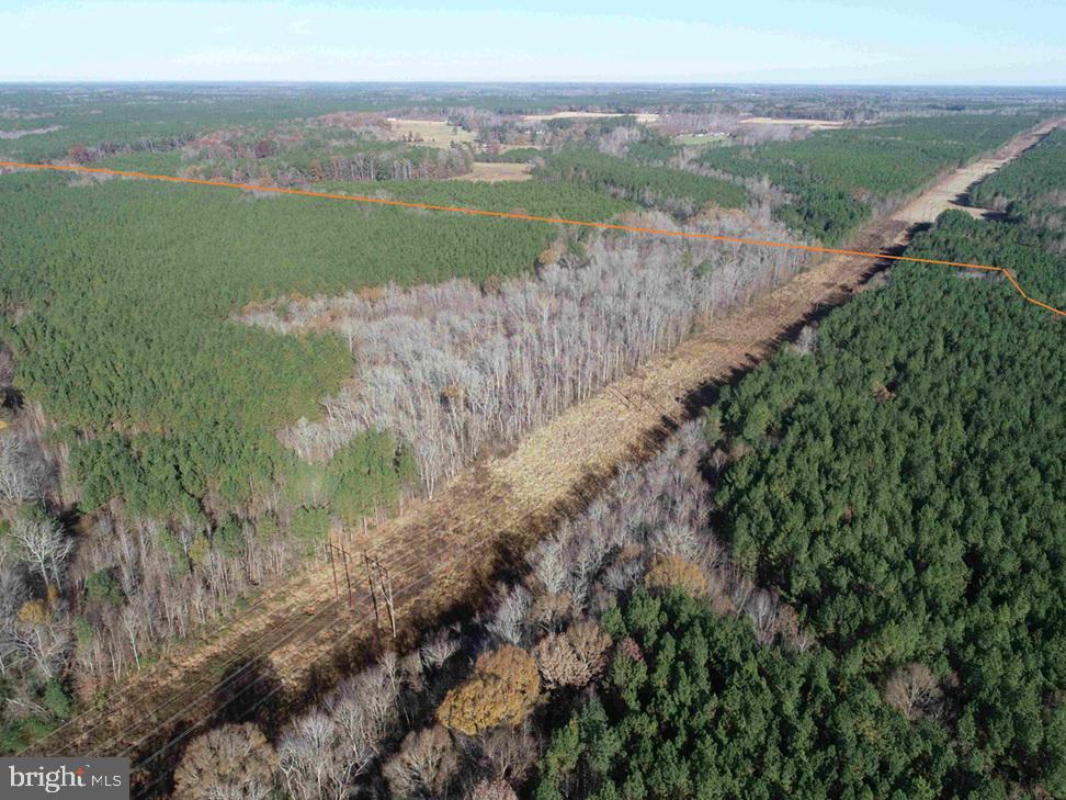 SLAGLES LAKE ROAD (TRACT: CHESAPEAKE GEORGE RAE), EMPORIA, Virginia 23847, ,Farm,For sale,SLAGLES LAKE ROAD (TRACT: CHESAPEAKE GEORGE RAE),VAGE2000022 MLS # VAGE2000022