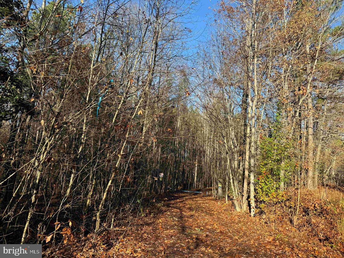 SLAGLES LAKE ROAD (TRACT: CHESAPEAKE GEORGE RAE), EMPORIA, Virginia 23847, ,Farm,For sale,SLAGLES LAKE ROAD (TRACT: CHESAPEAKE GEORGE RAE),VAGE2000022 MLS # VAGE2000022