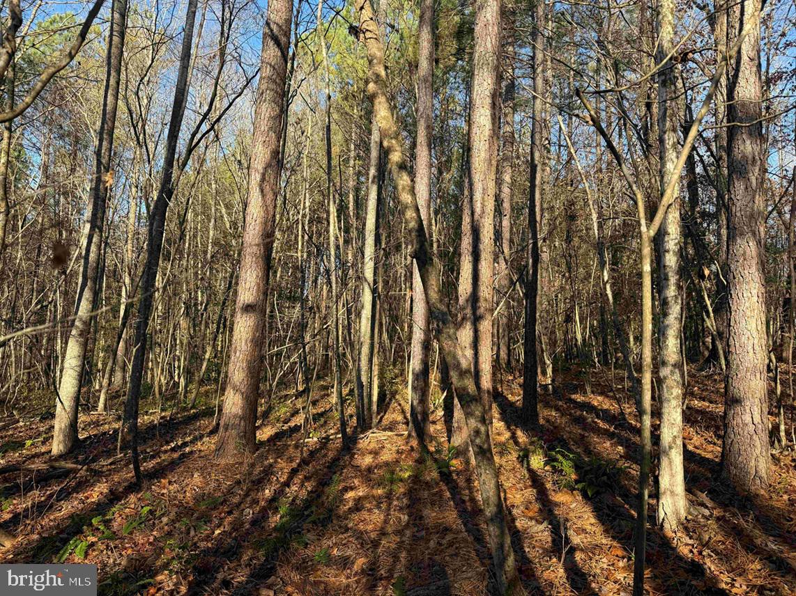 SLAGLES LAKE ROAD (TRACT: CHESAPEAKE GEORGE RAE), EMPORIA, Virginia 23847, ,Farm,For sale,SLAGLES LAKE ROAD (TRACT: CHESAPEAKE GEORGE RAE),VAGE2000022 MLS # VAGE2000022