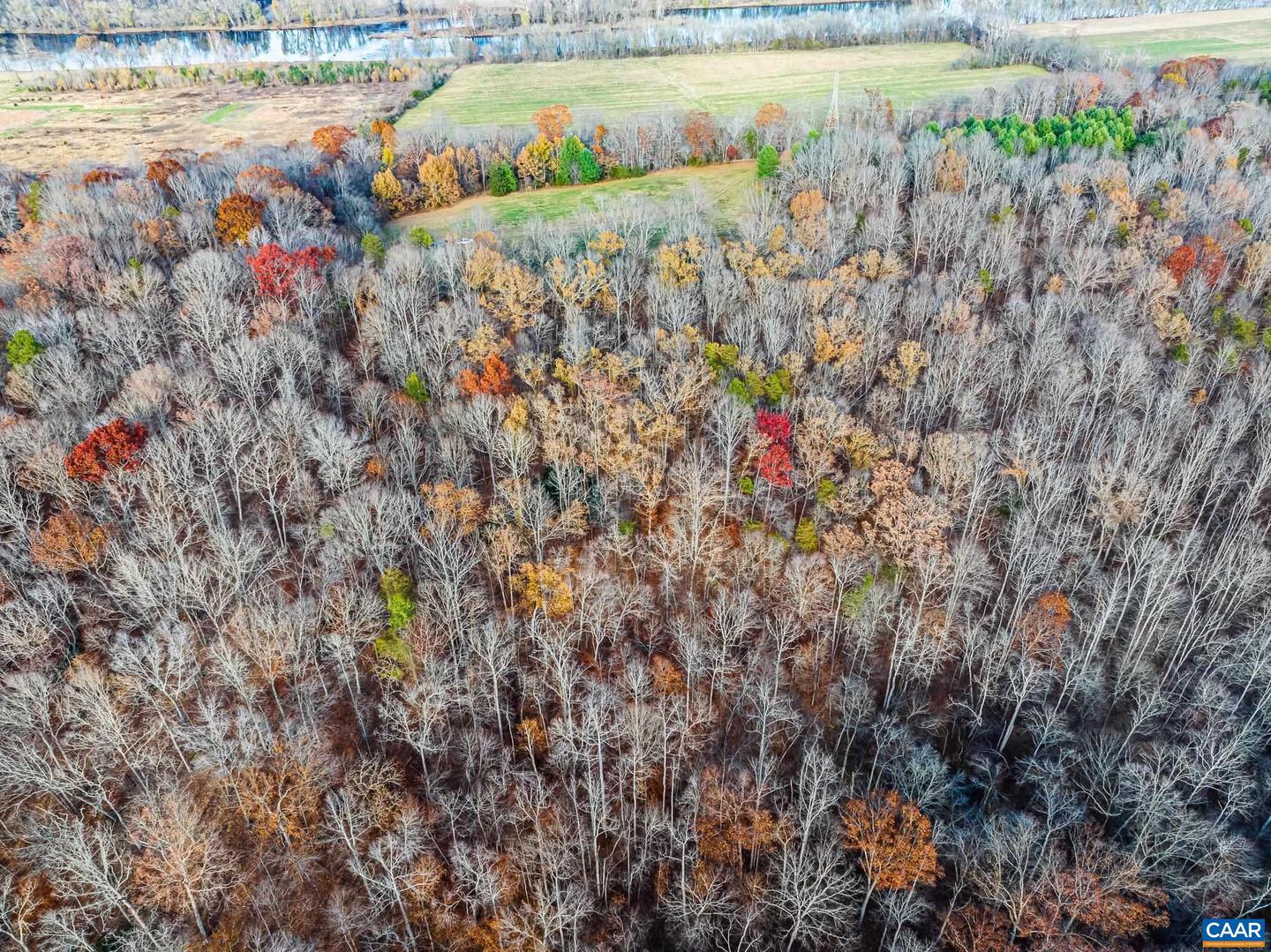 00 PAYNES POND RD, SCOTTSVILLE, Virginia 24590, ,Farm,For sale,00 PAYNES POND RD,671575 MLS # 671575 00 PAYNES POND RD, SCOTTSVILLE, Virginia 24590, ,Farm,For sale,00 PAYNES POND RD,671575 MLS # 671575