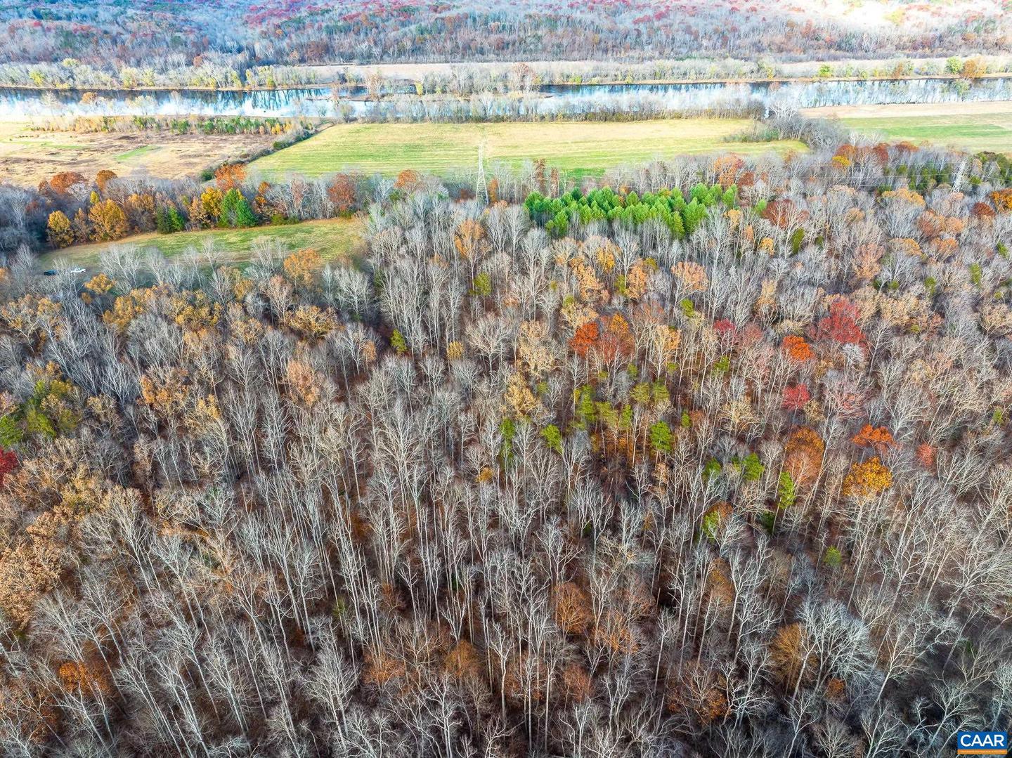 00 PAYNES POND RD, SCOTTSVILLE, Virginia 24590, ,Farm,For sale,00 PAYNES POND RD,671575 MLS # 671575 00 PAYNES POND RD, SCOTTSVILLE, Virginia 24590, ,Farm,For sale,00 PAYNES POND RD,671575 MLS # 671575