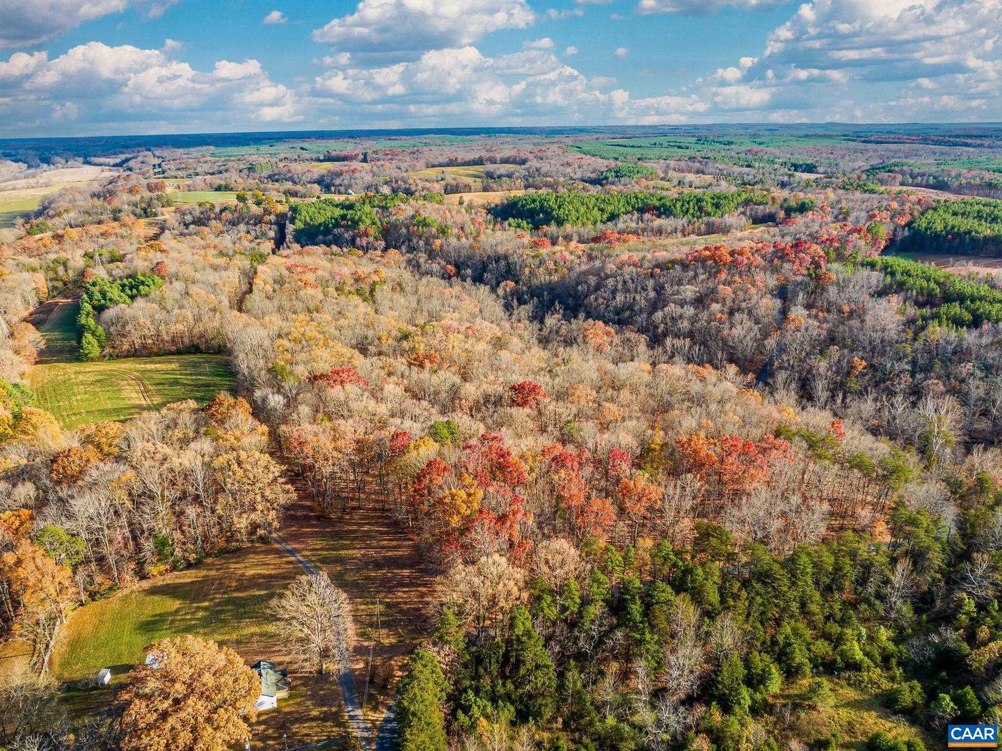 00 PAYNES POND RD, SCOTTSVILLE, Virginia 24590, ,Farm,For sale,00 PAYNES POND RD,671575 MLS # 671575 00 PAYNES POND RD, SCOTTSVILLE, Virginia 24590, ,Farm,For sale,00 PAYNES POND RD,671575 MLS # 671575