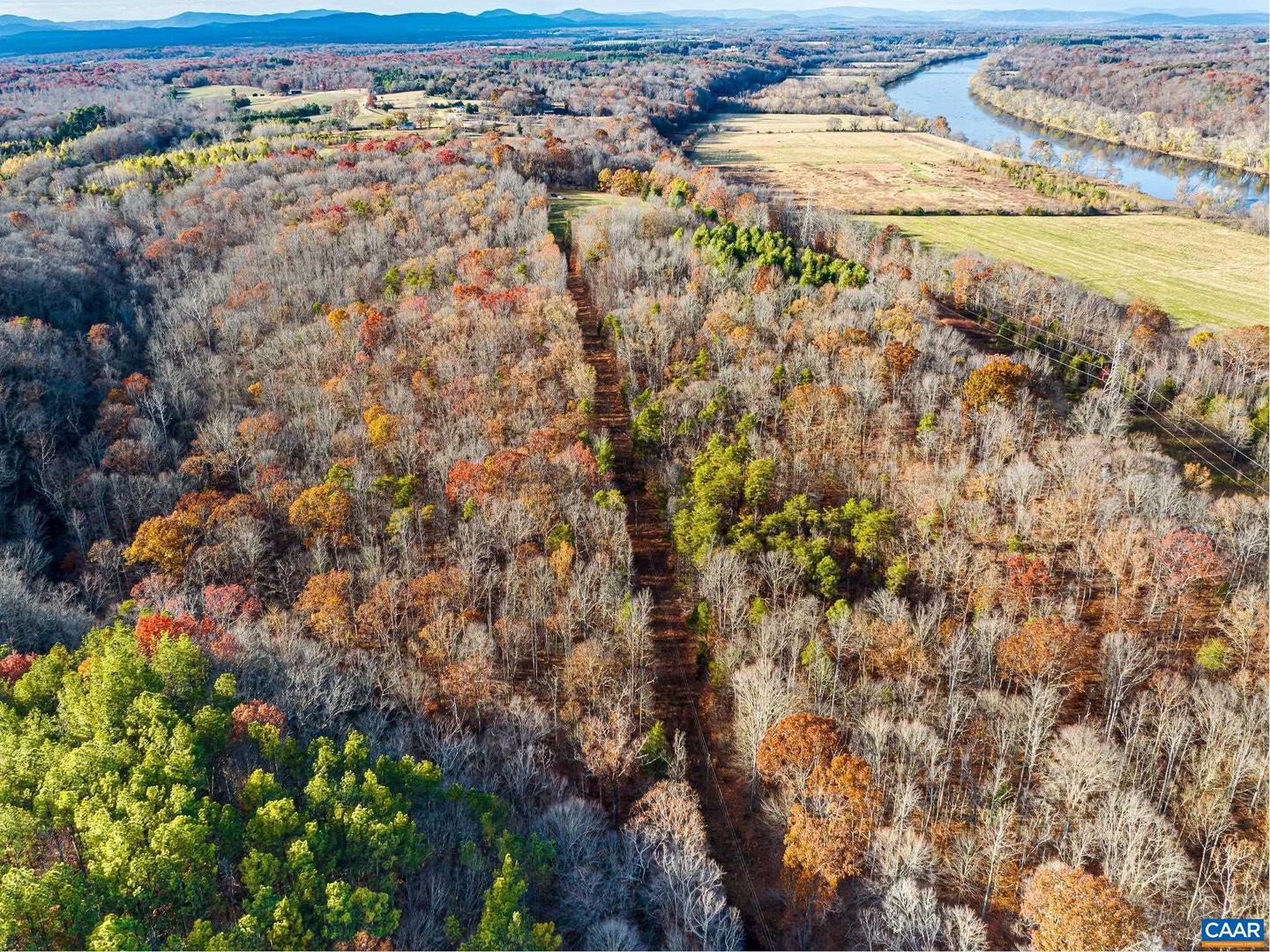 00 PAYNES POND RD, SCOTTSVILLE, Virginia 24590, ,Farm,For sale,00 PAYNES POND RD,671575 MLS # 671575 00 PAYNES POND RD, SCOTTSVILLE, Virginia 24590, ,Farm,For sale,00 PAYNES POND RD,671575 MLS # 671575