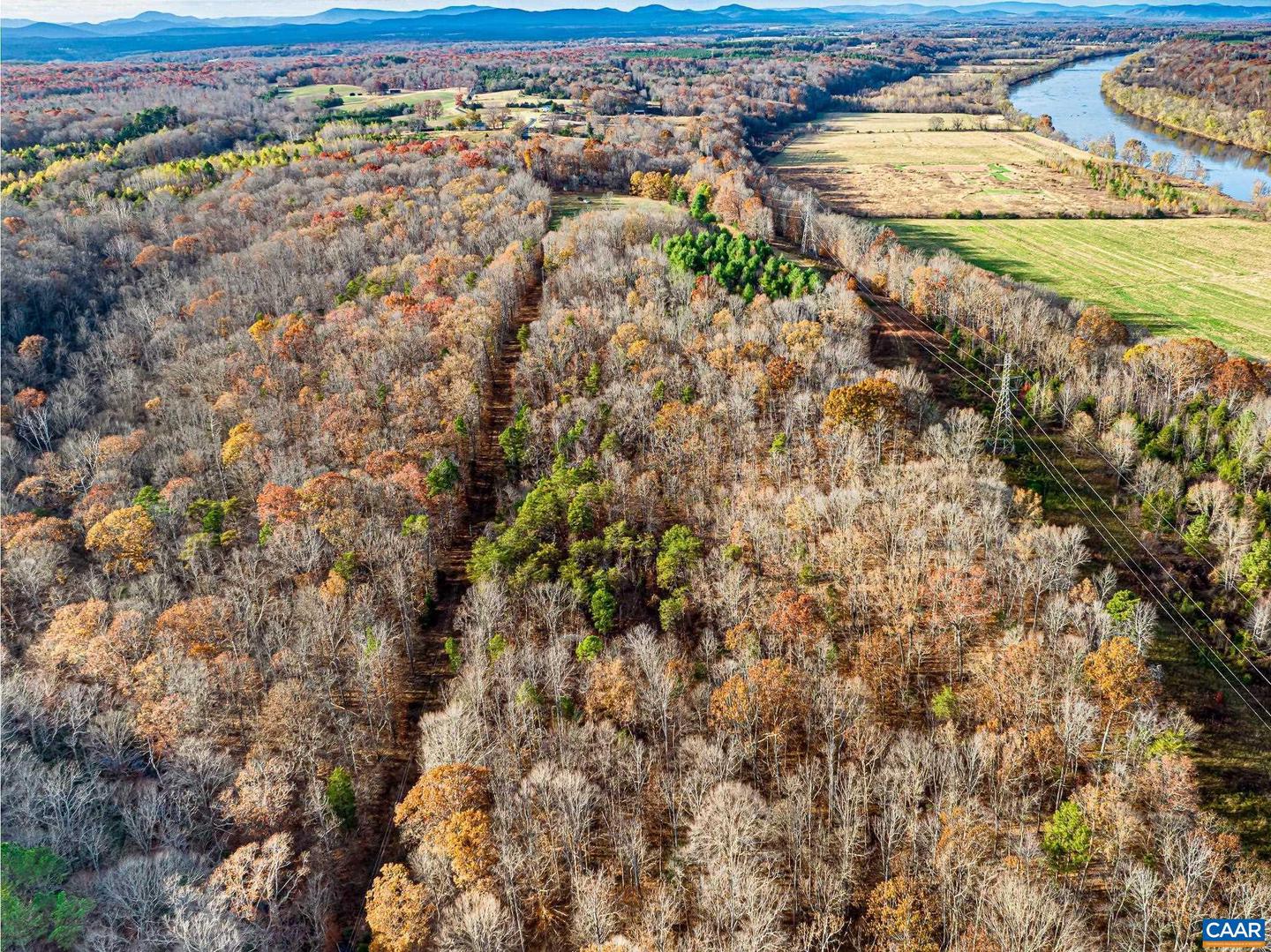 00 PAYNES POND RD, SCOTTSVILLE, Virginia 24590, ,Farm,For sale,00 PAYNES POND RD,671575 MLS # 671575 00 PAYNES POND RD, SCOTTSVILLE, Virginia 24590, ,Farm,For sale,00 PAYNES POND RD,671575 MLS # 671575