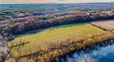 00 PAYNES POND RD, SCOTTSVILLE, Virginia 24590, ,Farm,For sale,00 PAYNES POND RD,671575 MLS # 671575