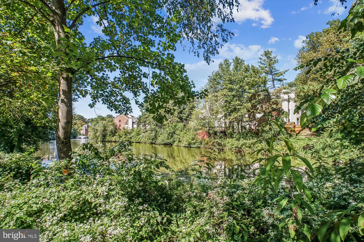 7592-K LAKESIDE VILLAGE DR, FALLS CHURCH, Virginia 22042, 1 Bedroom Bedrooms, ,1 BathroomBathrooms,Residential,For sale,7592-K LAKESIDE VILLAGE DR,VAFX2281052 MLS # VAFX2281052