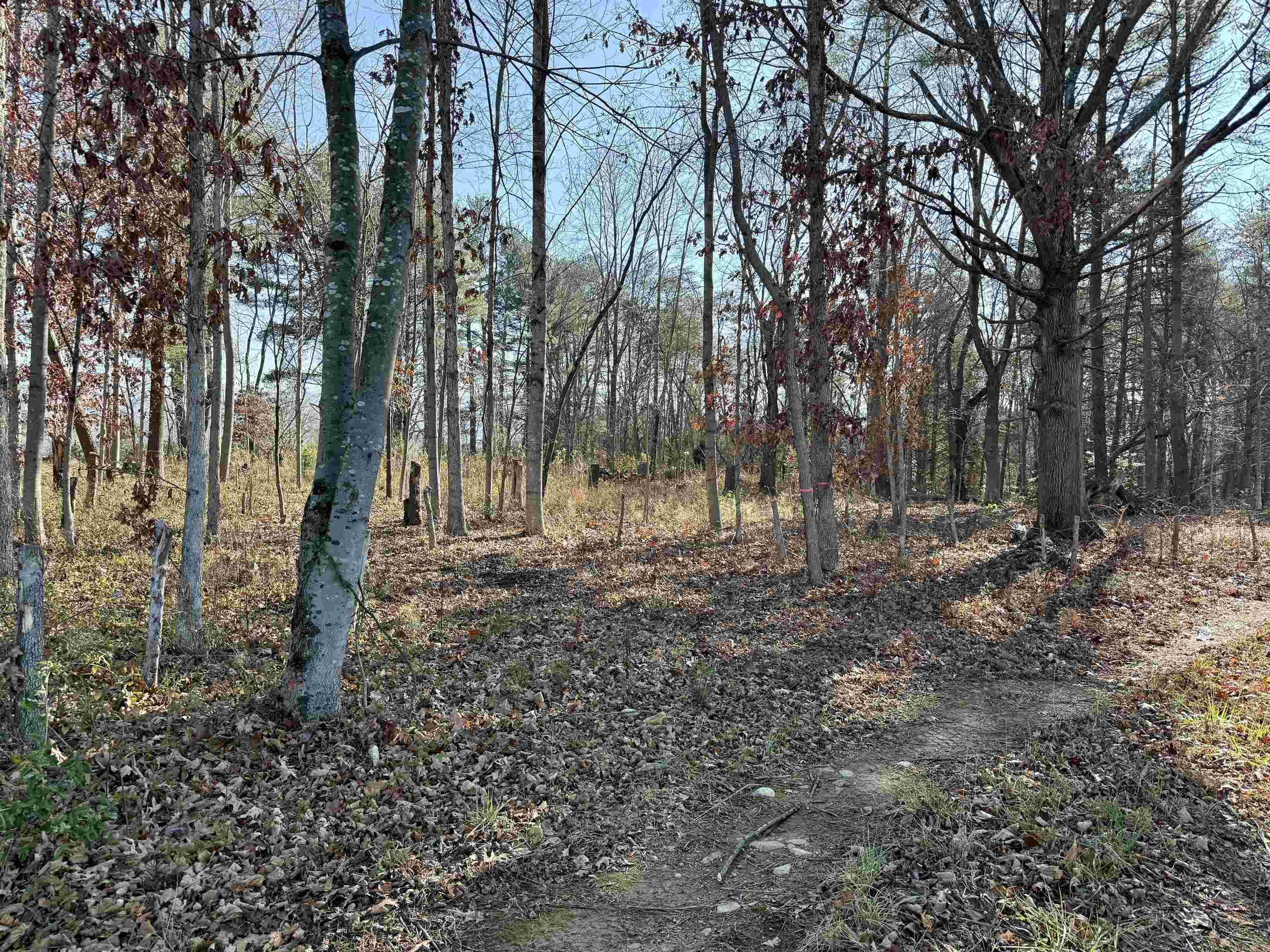 TBD HUCKLEBERRY RD, ELKTON, Virginia 22827, ,Land,TBD HUCKLEBERRY RD,671576 MLS # 671576
