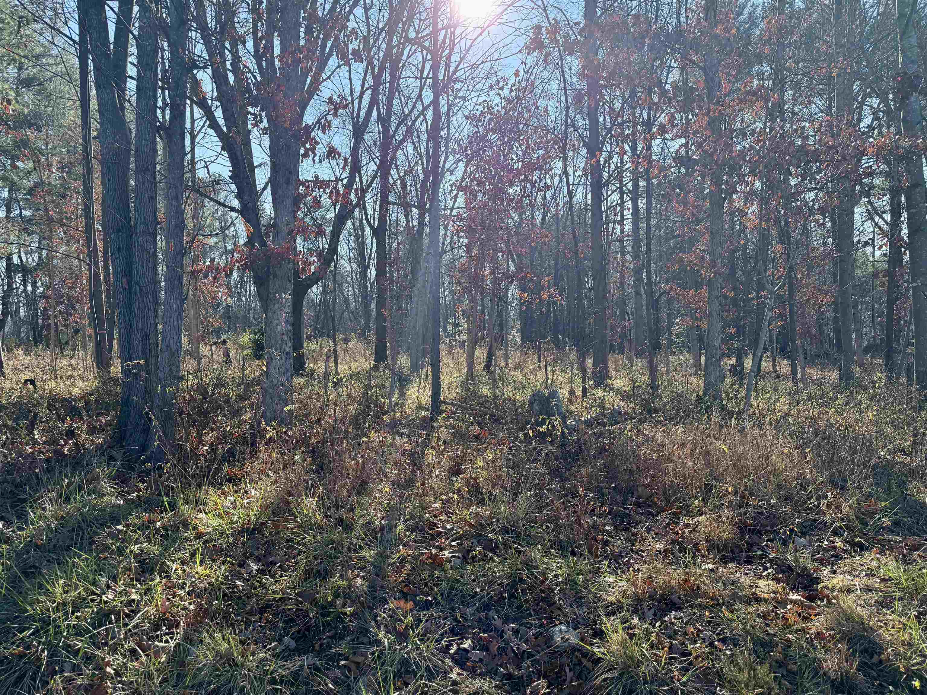 TBD HUCKLEBERRY RD, ELKTON, Virginia 22827, ,Land,TBD HUCKLEBERRY RD,671576 MLS # 671576