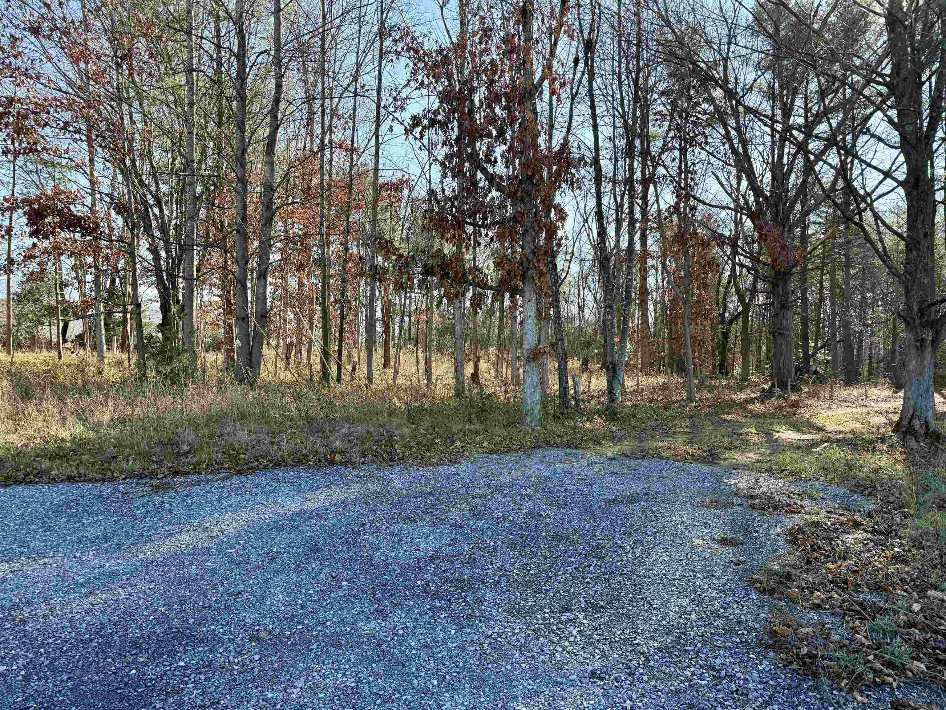 TBD HUCKLEBERRY RD, ELKTON, Virginia 22827, ,Land,TBD HUCKLEBERRY RD,671576 MLS # 671576