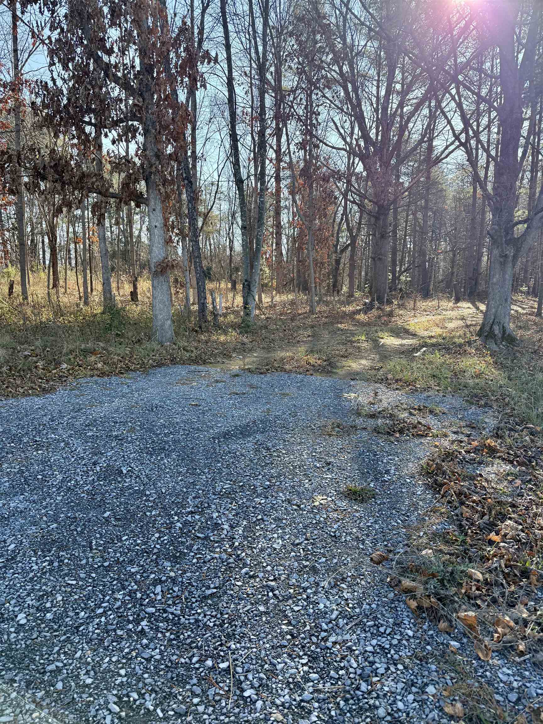 TBD HUCKLEBERRY RD, ELKTON, Virginia 22827, ,Land,TBD HUCKLEBERRY RD,671576 MLS # 671576