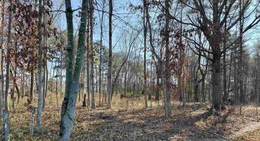 TBD HUCKLEBERRY RD, ELKTON, Virginia 22827, ,Land,TBD HUCKLEBERRY RD,671576 MLS # 671576