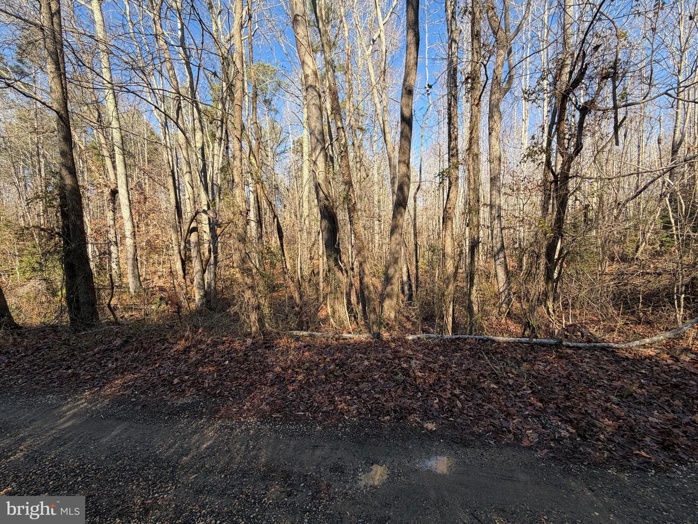 LOT 2A TURKEY ACRES RD, KING GEORGE, Virginia 22485, ,Land,For sale,LOT 2A TURKEY ACRES RD,VAKG2007334 MLS # VAKG2007334
