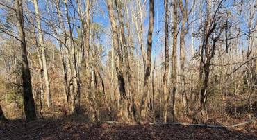 LOT 2A TURKEY ACRES RD, KING GEORGE, Virginia 22485, ,Land,For sale,LOT 2A TURKEY ACRES RD,VAKG2007334 MLS # VAKG2007334