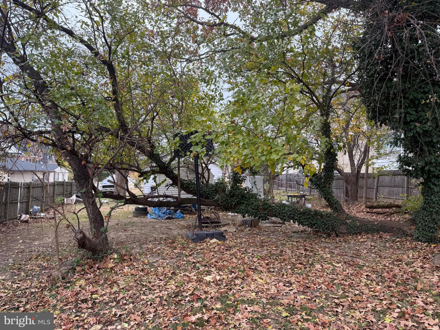 5715 MAGNOLIA LN, FALLS CHURCH, Virginia 22041, 3 Bedrooms Bedrooms, ,1 BathroomBathrooms,Residential,For sale,5715 MAGNOLIA LN,VAFX2258996 MLS # VAFX2258996