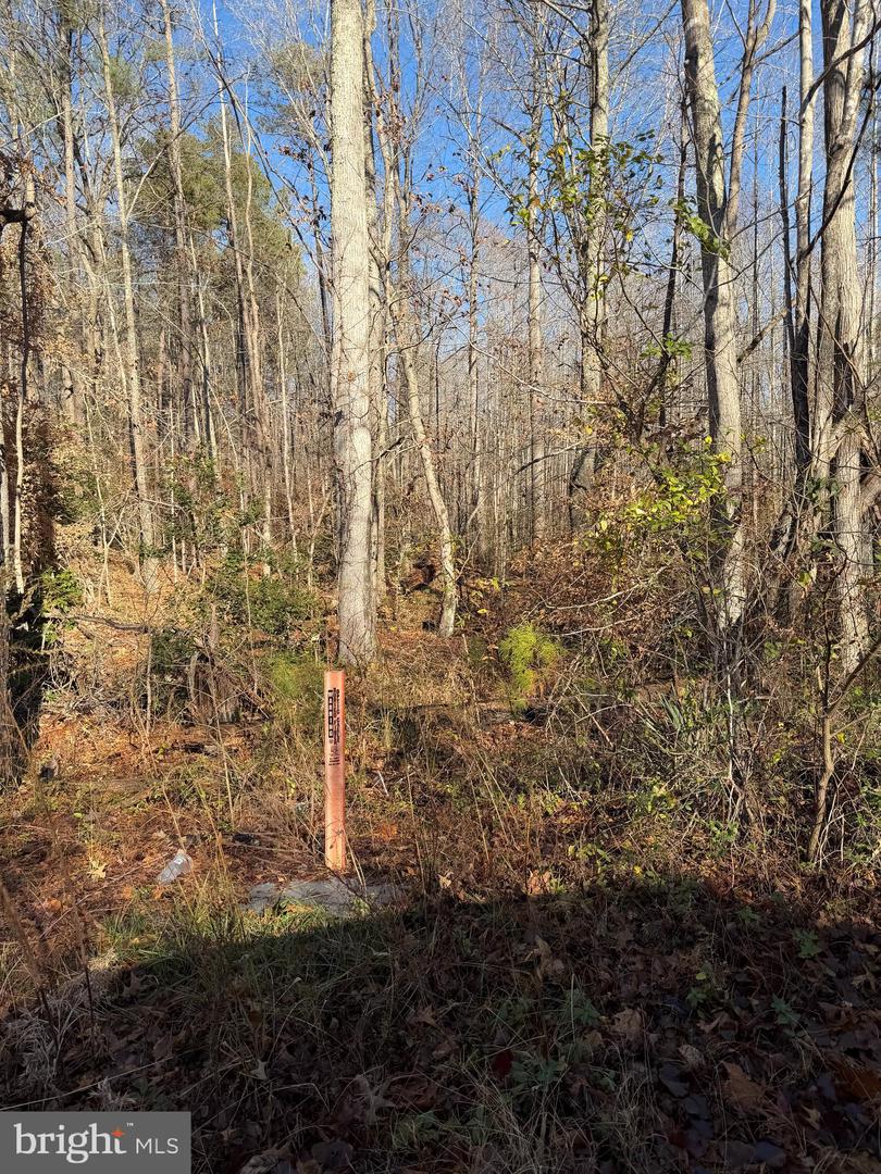 LOT 2 B TURKEY ACRES RD, KING GEORGE, Virginia 22485, ,Land,For sale,LOT 2 B TURKEY ACRES RD,VAKG2007336 MLS # VAKG2007336 LOT 2 B TURKEY ACRES RD, KING GEORGE, Virginia 22485, ,Land,For sale,LOT 2 B TURKEY ACRES RD,VAKG2007336 MLS # VAKG2007336