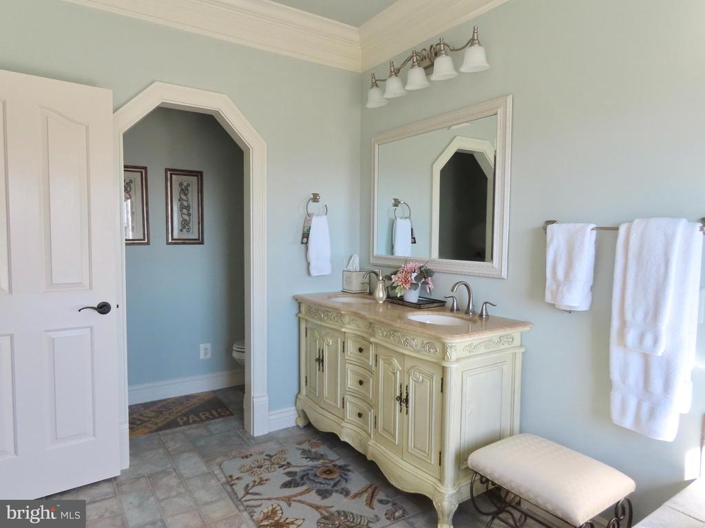 65 CLARK LN, WASHINGTON, Virginia, 7 Bedrooms Bedrooms, ,10 BathroomsBathrooms,Residential,65 CLARK LN,VARP2002418 MLS # VARP2002418