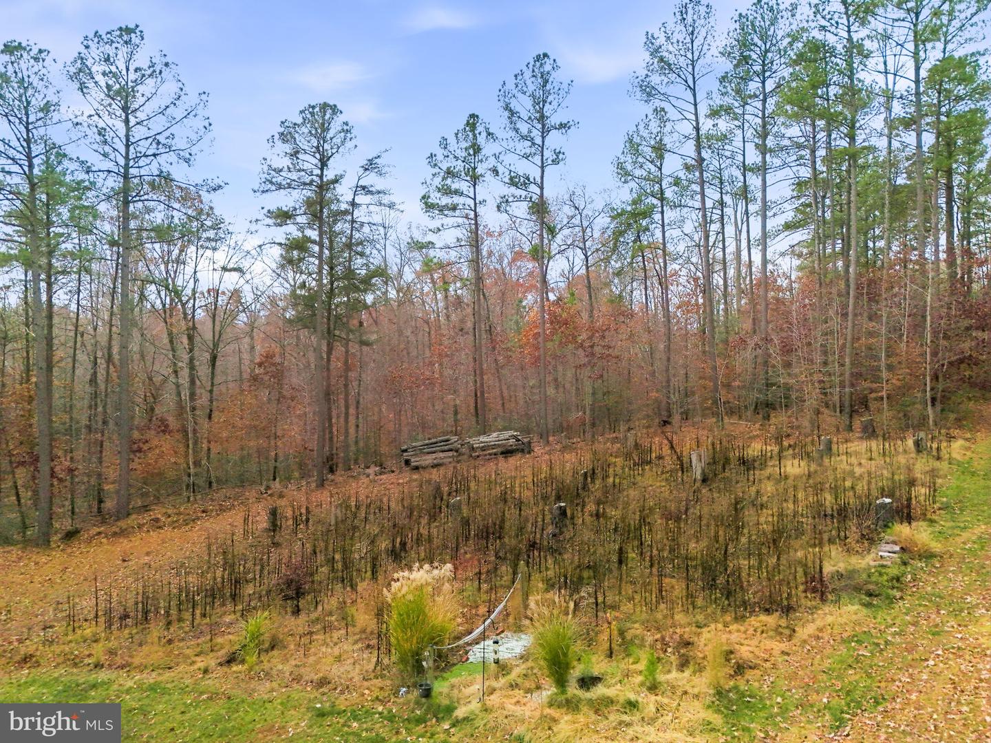 51 SERENE HILLS DR, FREDERICKSBURG, Virginia 22406, 5 Bedrooms Bedrooms, ,4 BathroomsBathrooms,Residential,For sale,51 SERENE HILLS DR,VAST2044226 MLS # VAST2044226 51 SERENE HILLS DR, FREDERICKSBURG, Virginia 22406, 5 Bedrooms Bedrooms, ,4 BathroomsBathrooms,Residential,For sale,51 SERENE HILLS DR,VAST2044226 MLS # VAST2044226