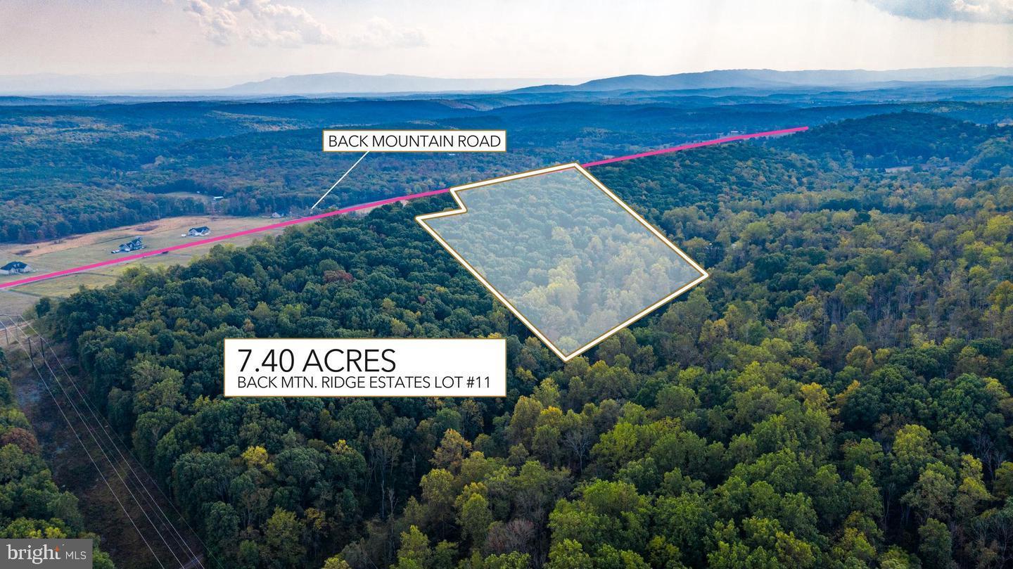BACK MOUNTAIN ROAD, LOT 11, WINCHESTER, Virginia 22602, ,Land,For sale,BACK MOUNTAIN ROAD, LOT 11,VAFV2038280 MLS # VAFV2038280