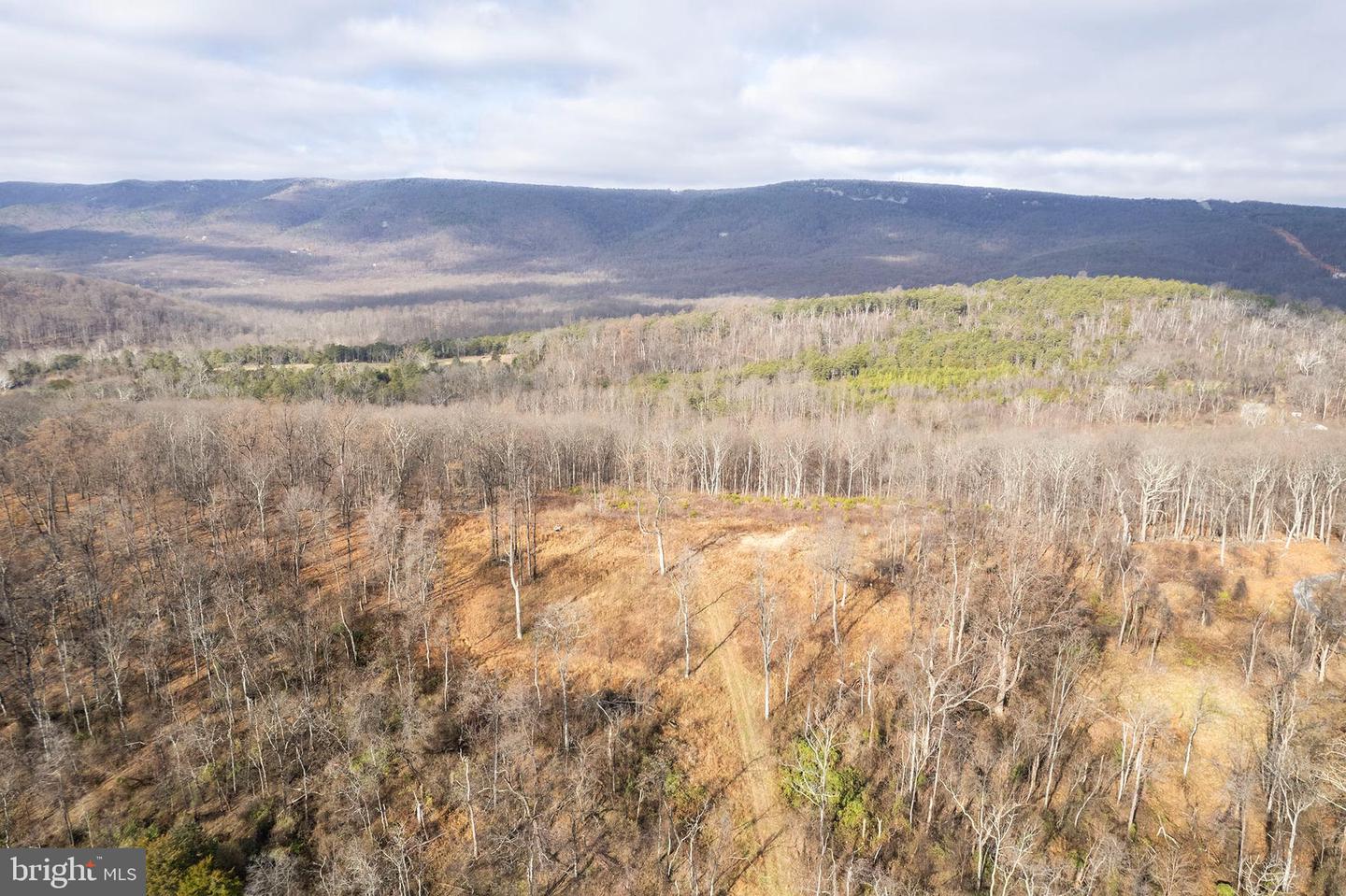 BACK MOUNTAIN ROAD, LOT 11, WINCHESTER, Virginia 22602, ,Land,For sale,BACK MOUNTAIN ROAD, LOT 11,VAFV2038280 MLS # VAFV2038280