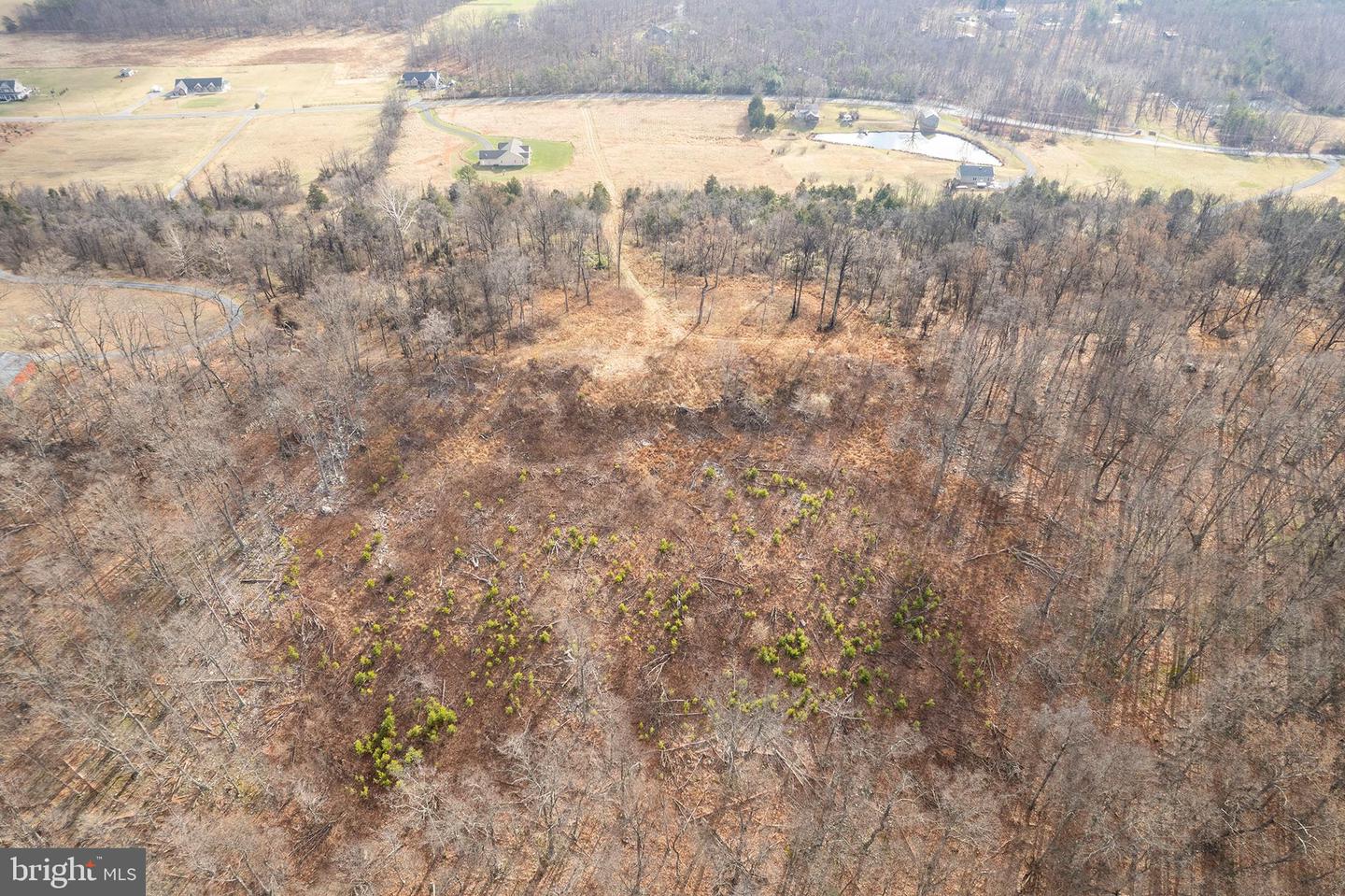 BACK MOUNTAIN ROAD, LOT 11, WINCHESTER, Virginia 22602, ,Land,For sale,BACK MOUNTAIN ROAD, LOT 11,VAFV2038280 MLS # VAFV2038280